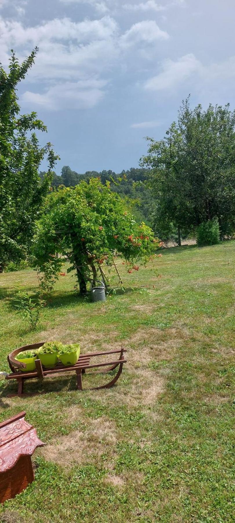 Savinacki Kutak Apartamento Takovo Exterior foto